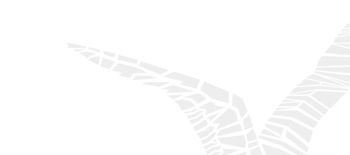 Почему Alean Collection